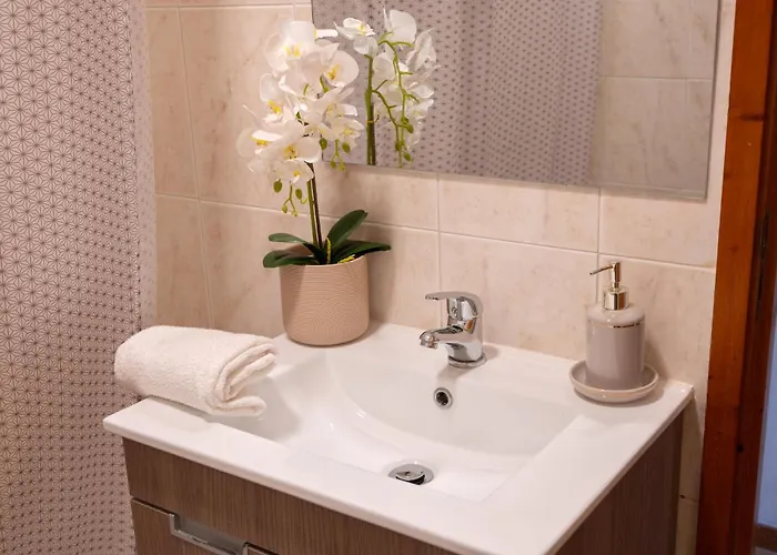 Gaia Douro 公寓 加亚新城